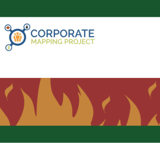 Corporate Mapping Project logo