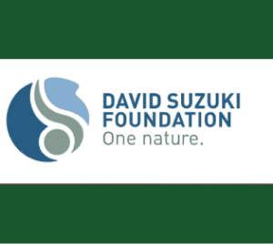 Suzuki Foundation logo