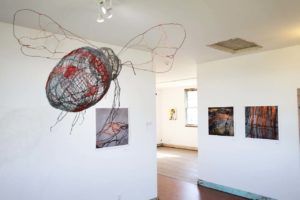 Charmaine Lurch's bee sculptures shown in a gallery
